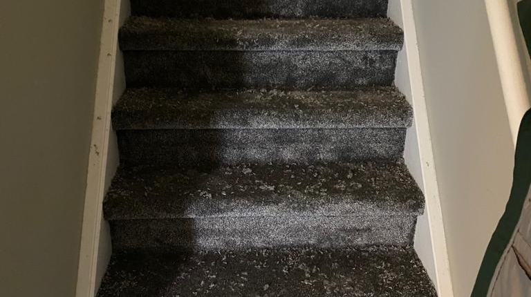 trap laten bekleden wassenaar